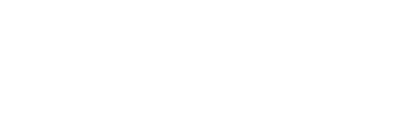 Priority Life Logo White